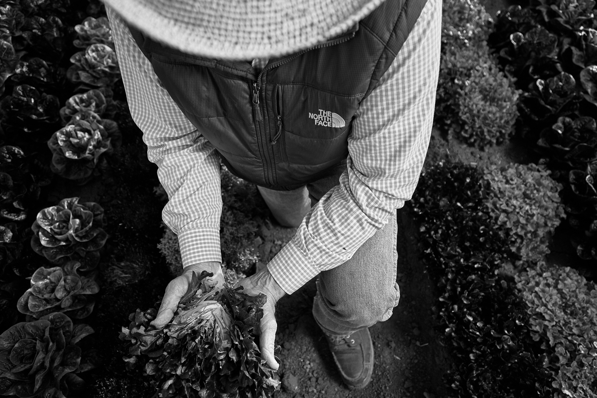 Phoenix Editorial Photographer - EatingWell Magazine Tastemakers - Steve Alameda - Environmental Portrait