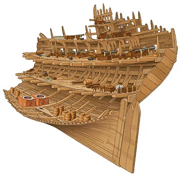 mary-rose-illustration.jpg