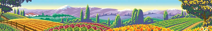 landscape_illustration.jpg
