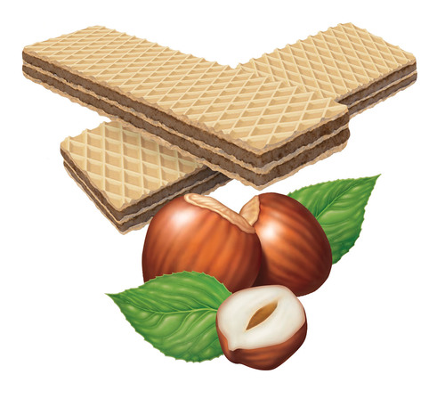 hazelnut and biscuit illustration for package design