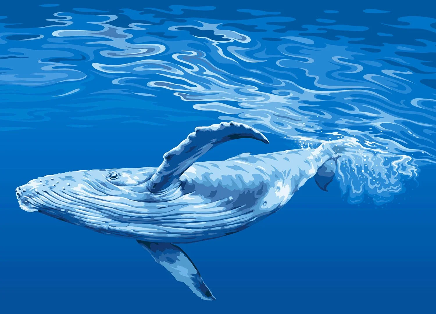 vector illustration of a whale diving in the sea