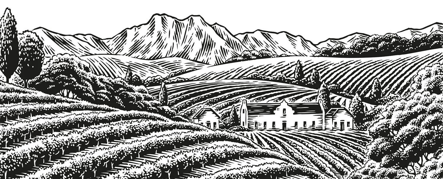 vineyard scene illustration for a wine label 
