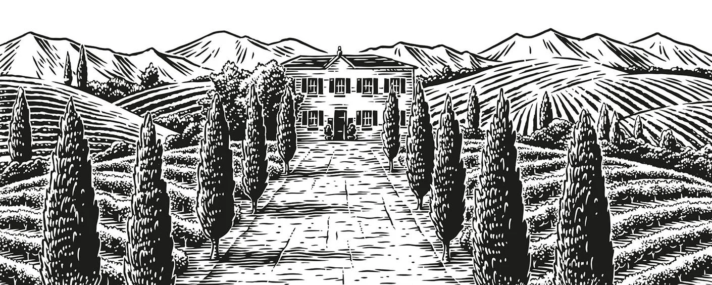 illustration of a vineyard scene with trees and a house