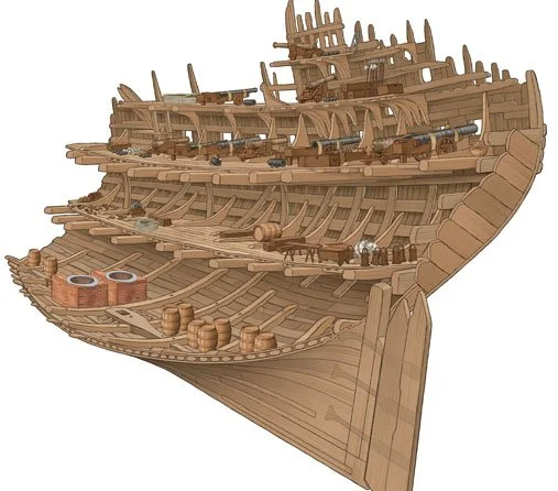 mary rose illustration.jpg