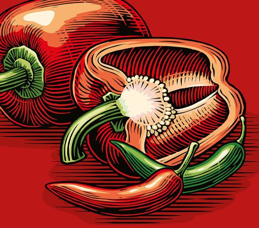 woodcut capsicum.jpg