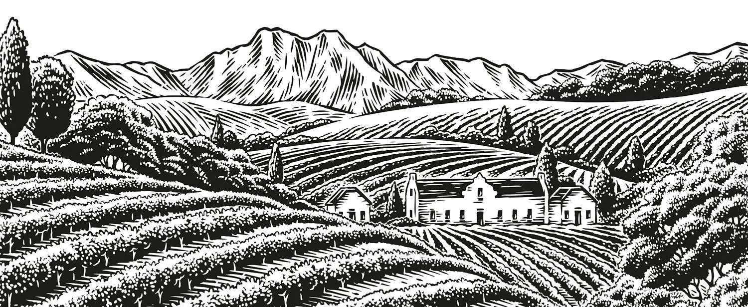 scratchboard illustration of a mountainous vineyard scene