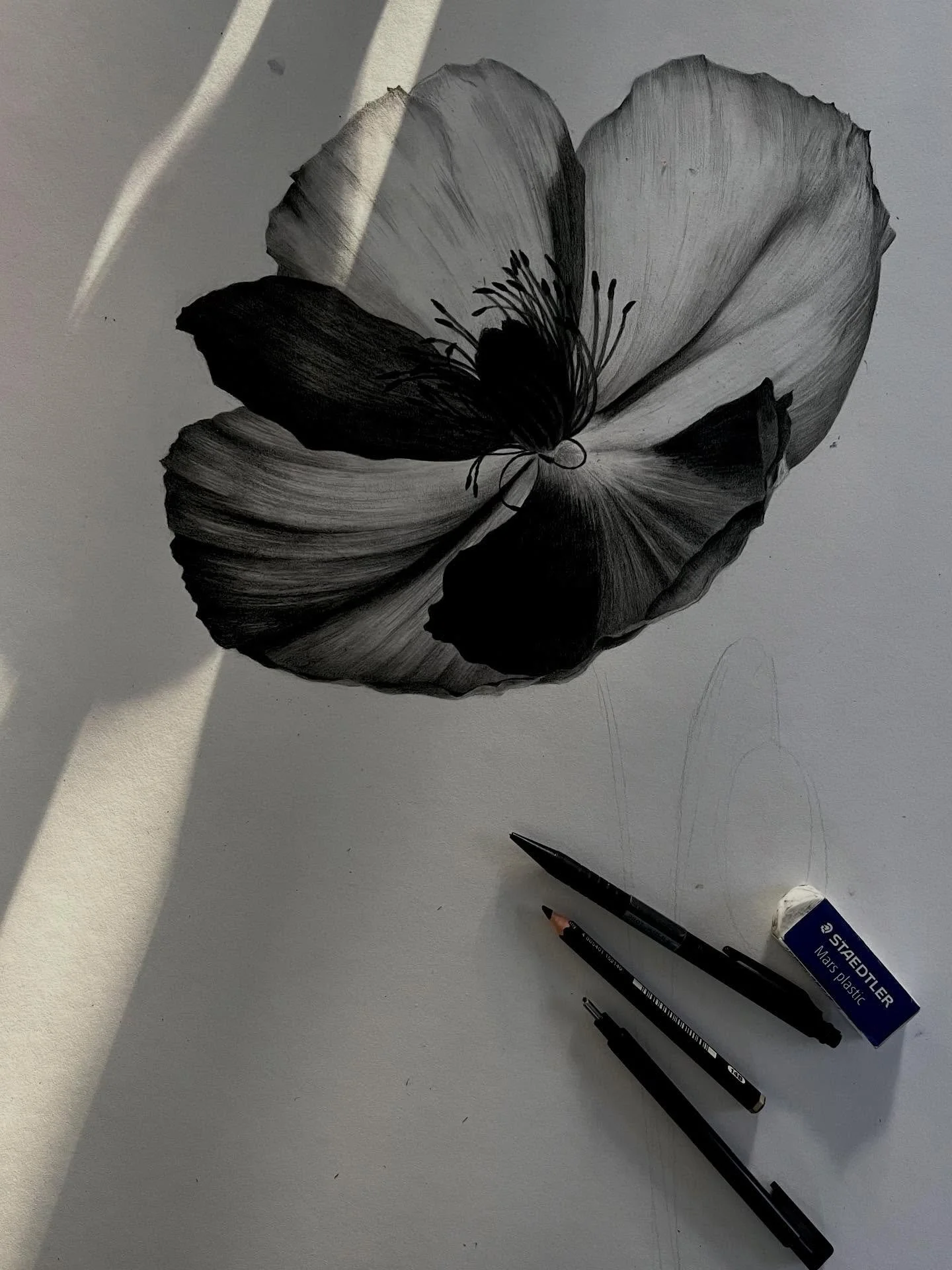 Ce n&rsquo;est pas une chanterelle 
🌸✍🏼😅
-
#drawing #pencildrawing #botanicaldrawing