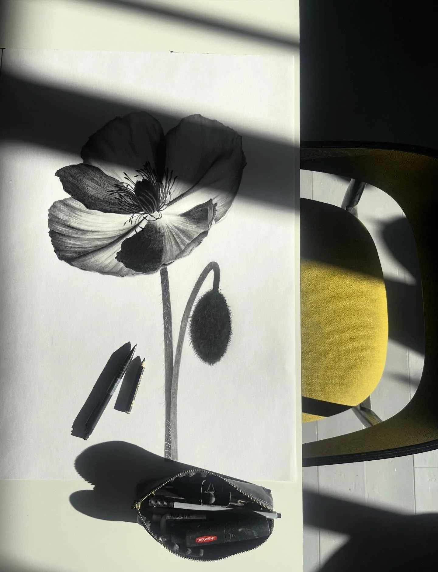 Det er n&aelig;sten ikke til at skelne hvad der er tegnet og hvad der skygger 🖤
-
#drawing #shadow #pencildrawing