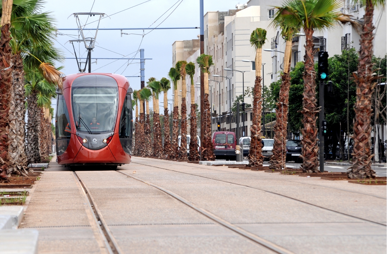 Kromě Alžírska nalezneme tramvaje Citadis také v dalším africkém státě - Maroku. Na snímku jsou vozy ve městě Casablanca. (foto: Alstom)