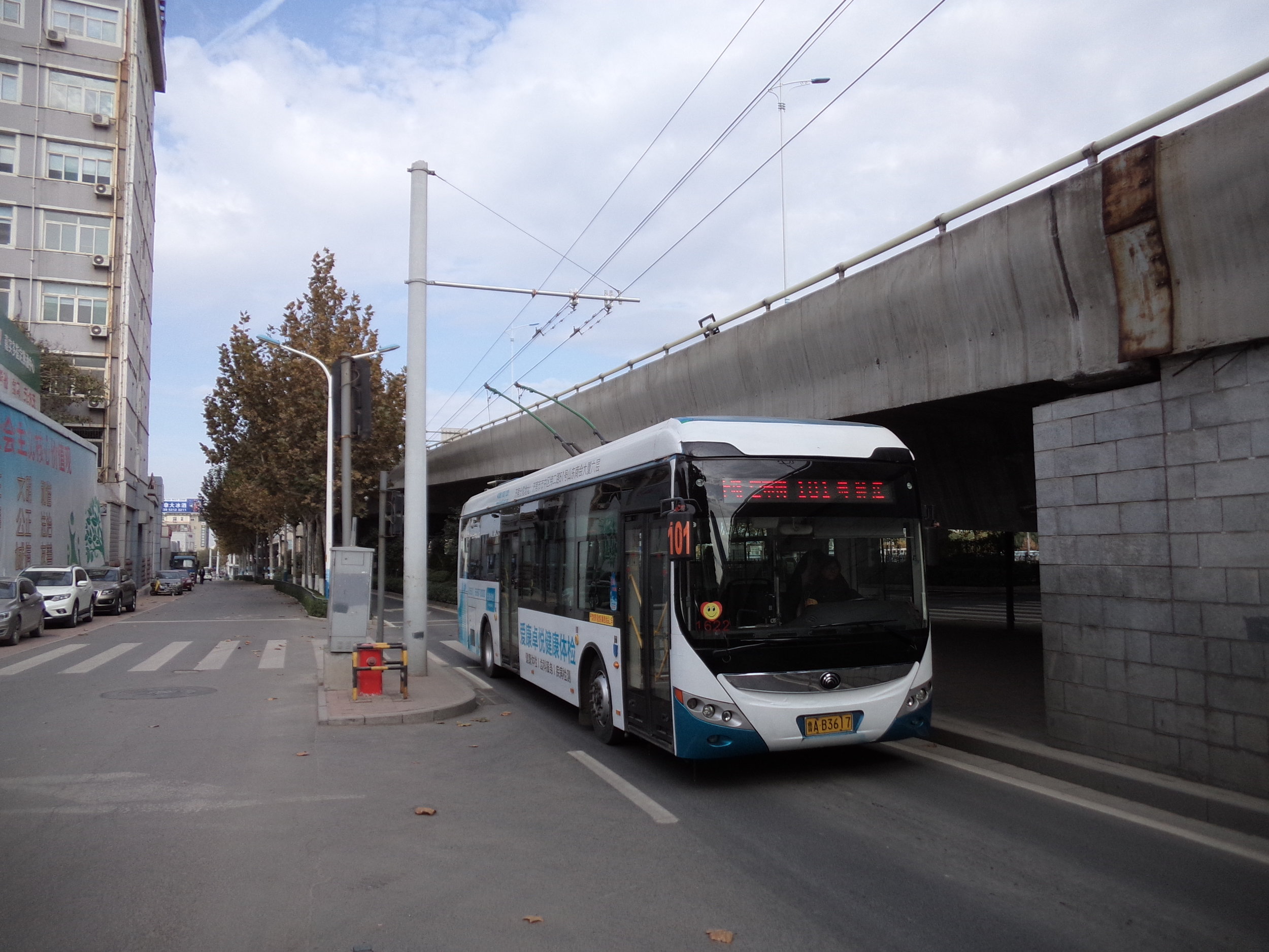 Trolejbus linky č. 101 má svou východní konečnou o několik set metrů více na sever než linka č. 102. Konečná linky č. 101 je na snímku schována za alejí stromů a je řešena jako obyčejná zastávka, jelikož v tomto místě opisuje trolejbus blokovou smyčku, avšak trolej této smyčky je částečně sdílena s linkami č. 102 a 103. 