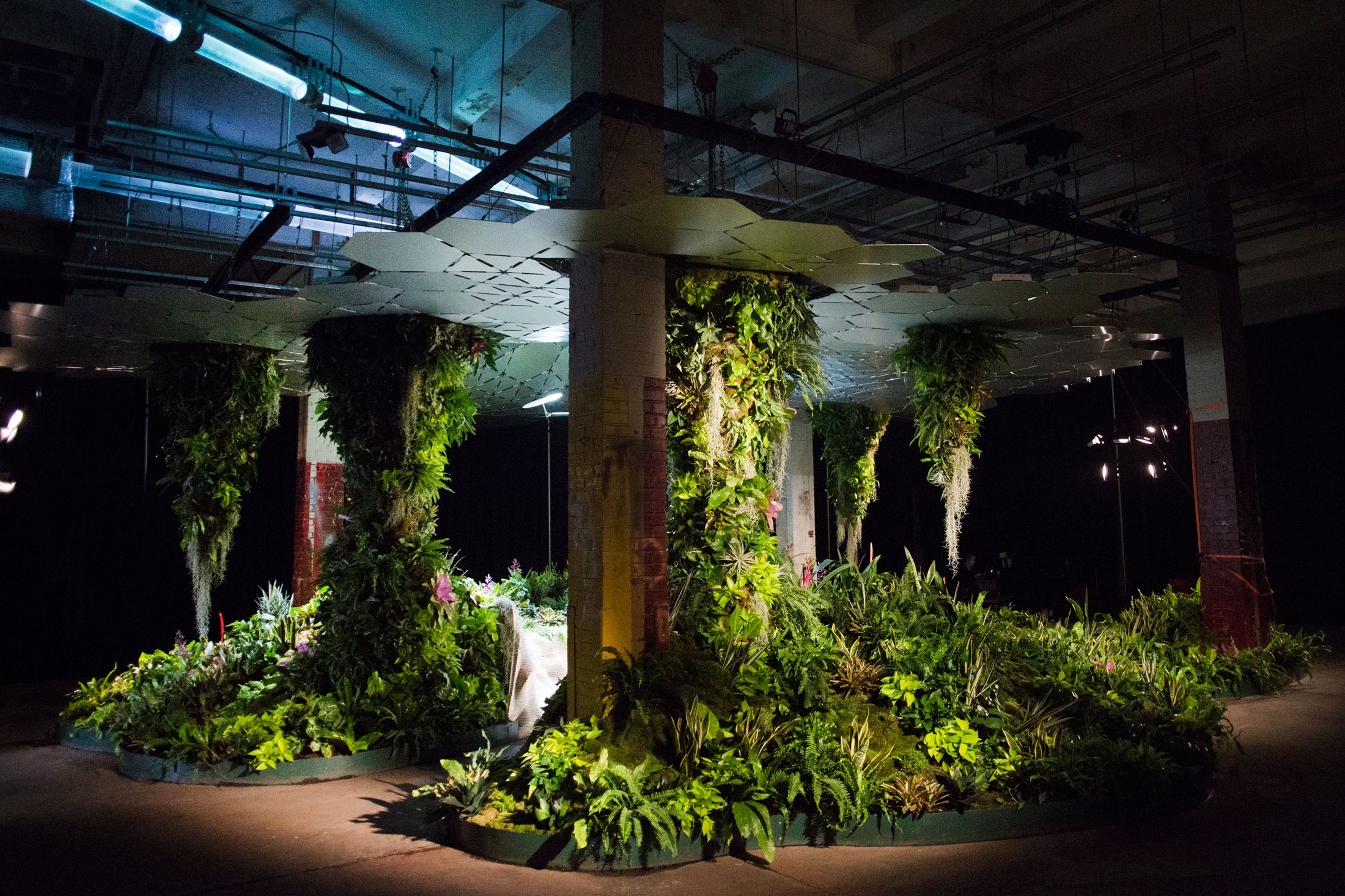 Takto vypadaly záhony v rámci tzv. Low Line Lab, která byla otevřena pro veřejnost o víkendech v letech 2015-17. (foto: The Low Line)