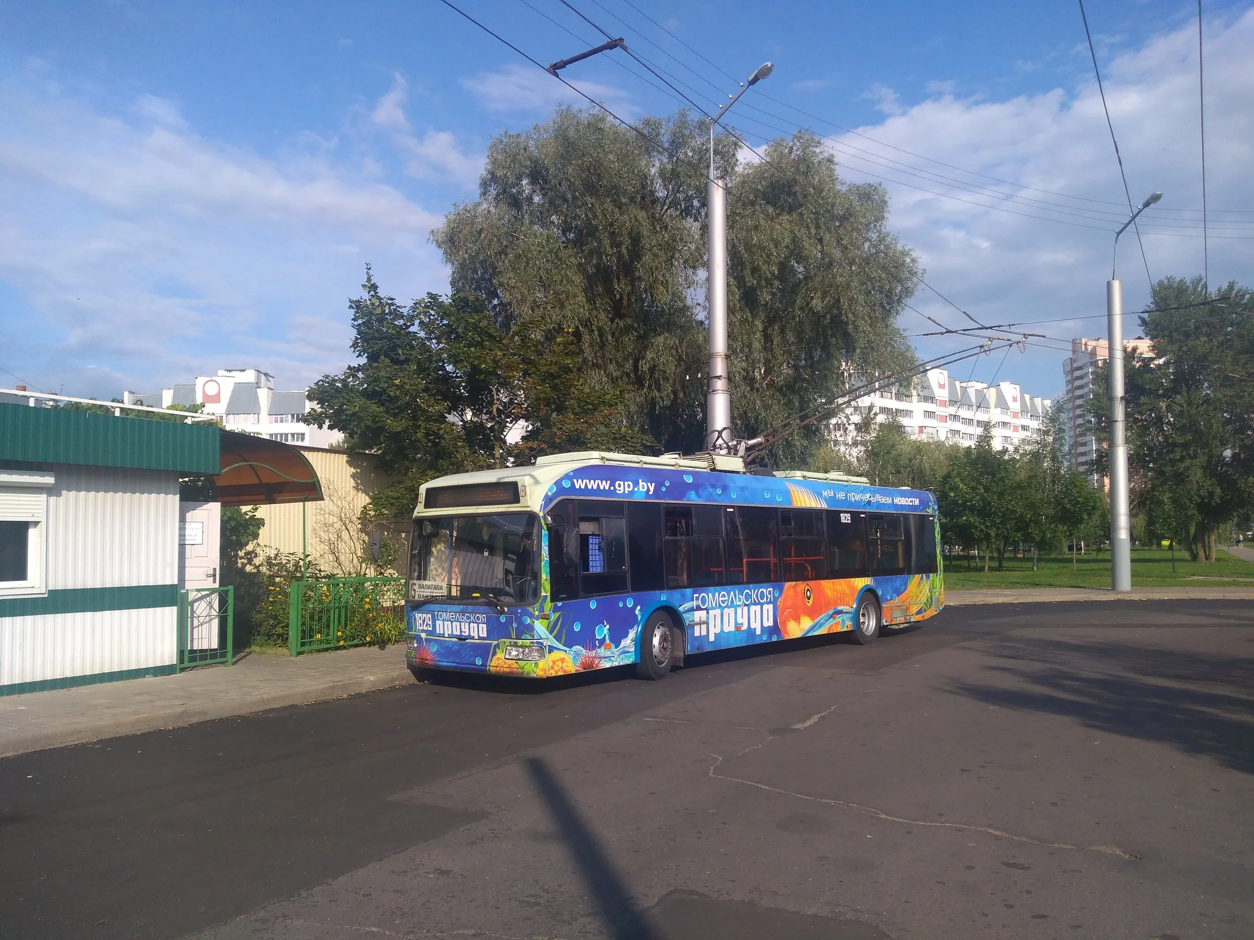 P_20190726_173613.jpg