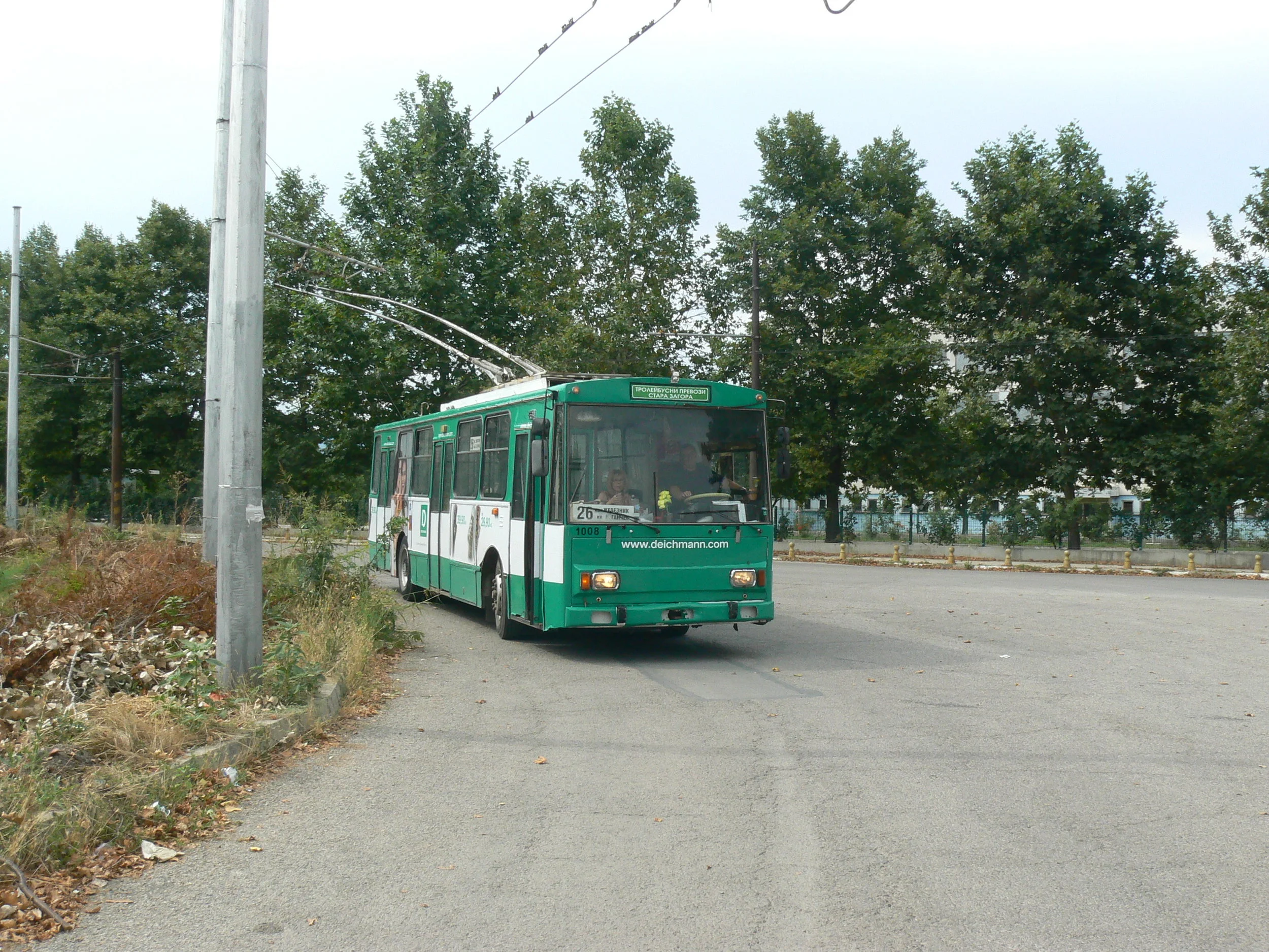 P1050238.jpg
