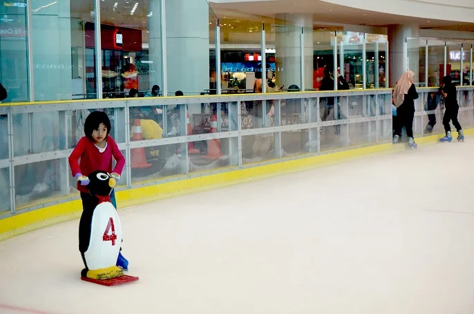 Ice skate ioi