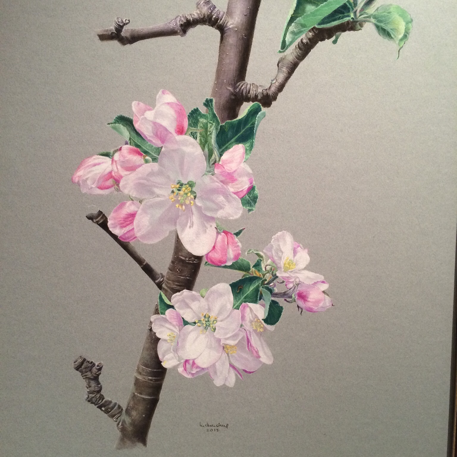 Meena Harding capturing the essence of blossom.