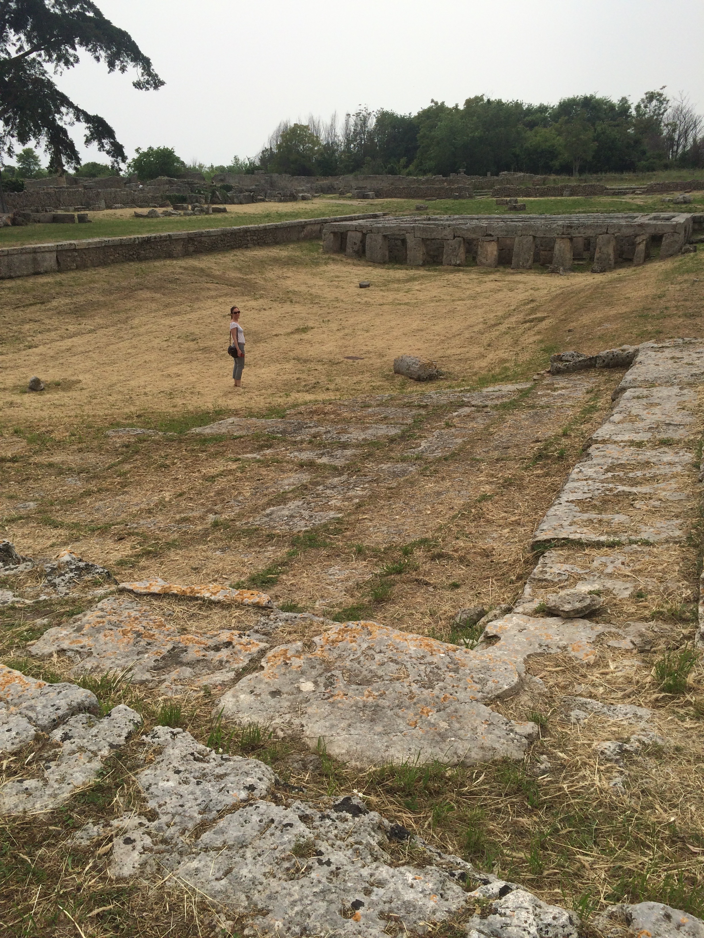 The pool with the labyrinth in the distance