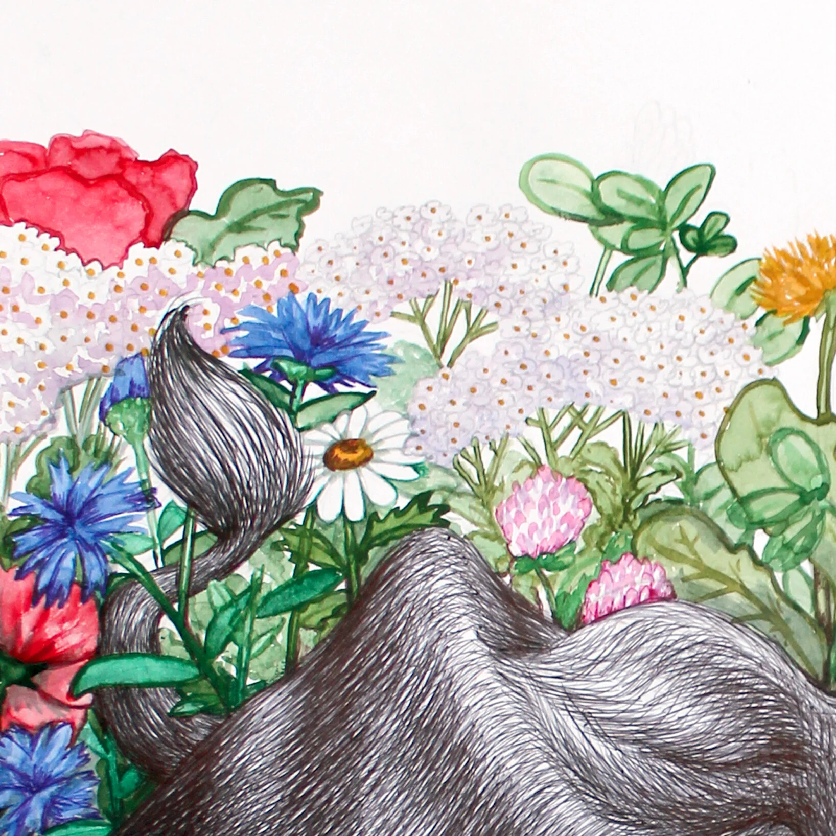 55242C20-6953-422F-A409-1AEDCEE9892C