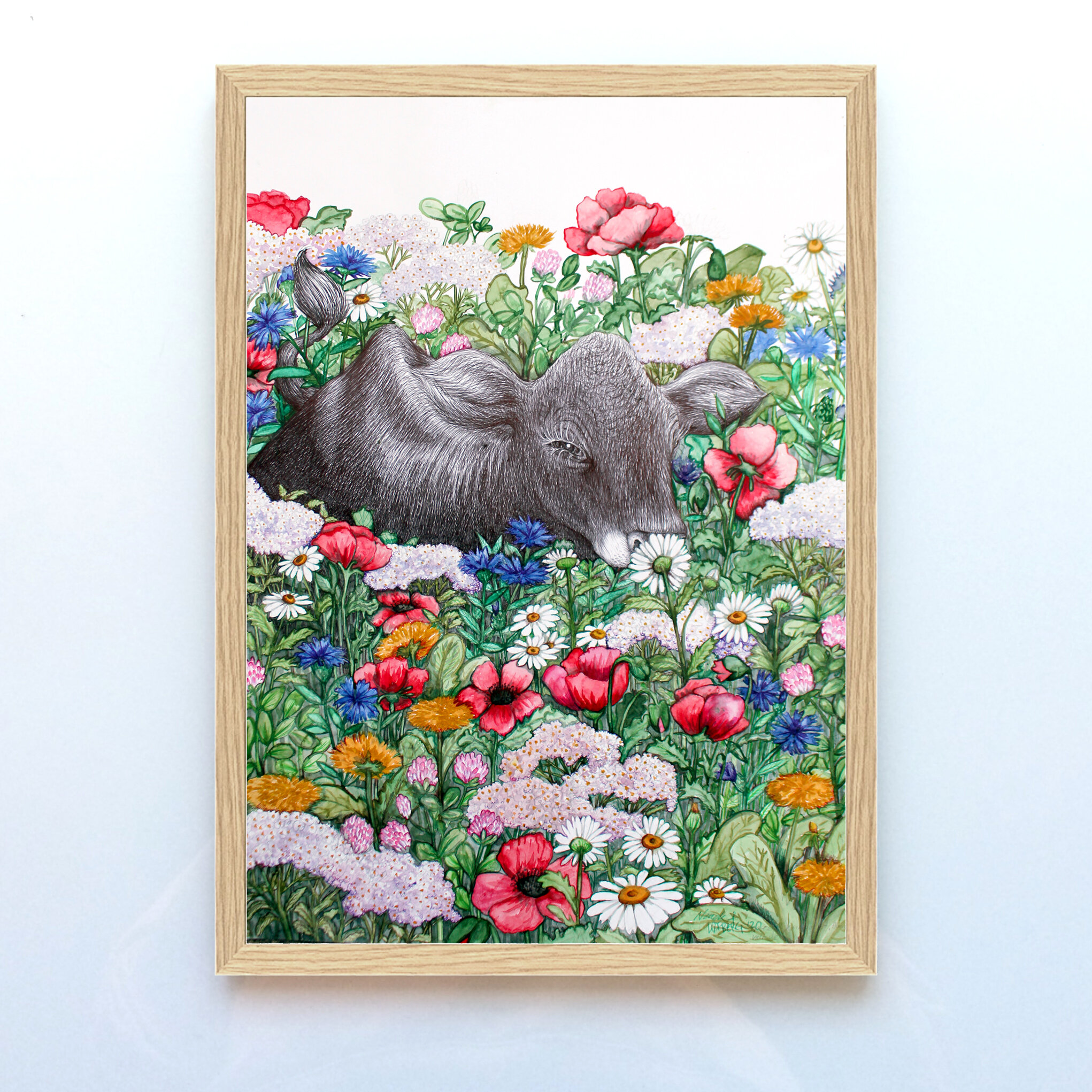 8C1037E6-328B-4DD2-AA20-400A05EC0BFB