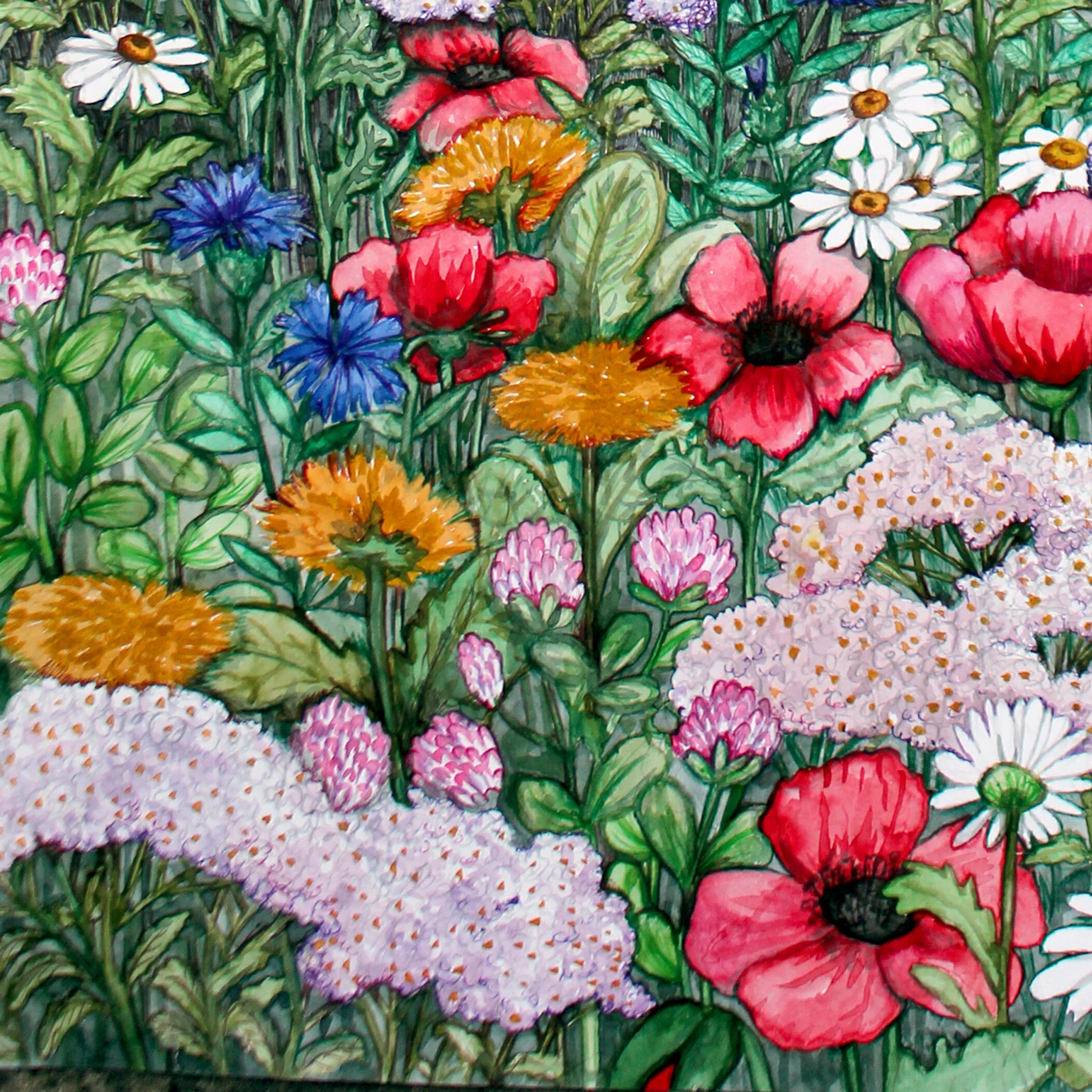 4796B085-3BF3-4B89-9C44-2827F331509E