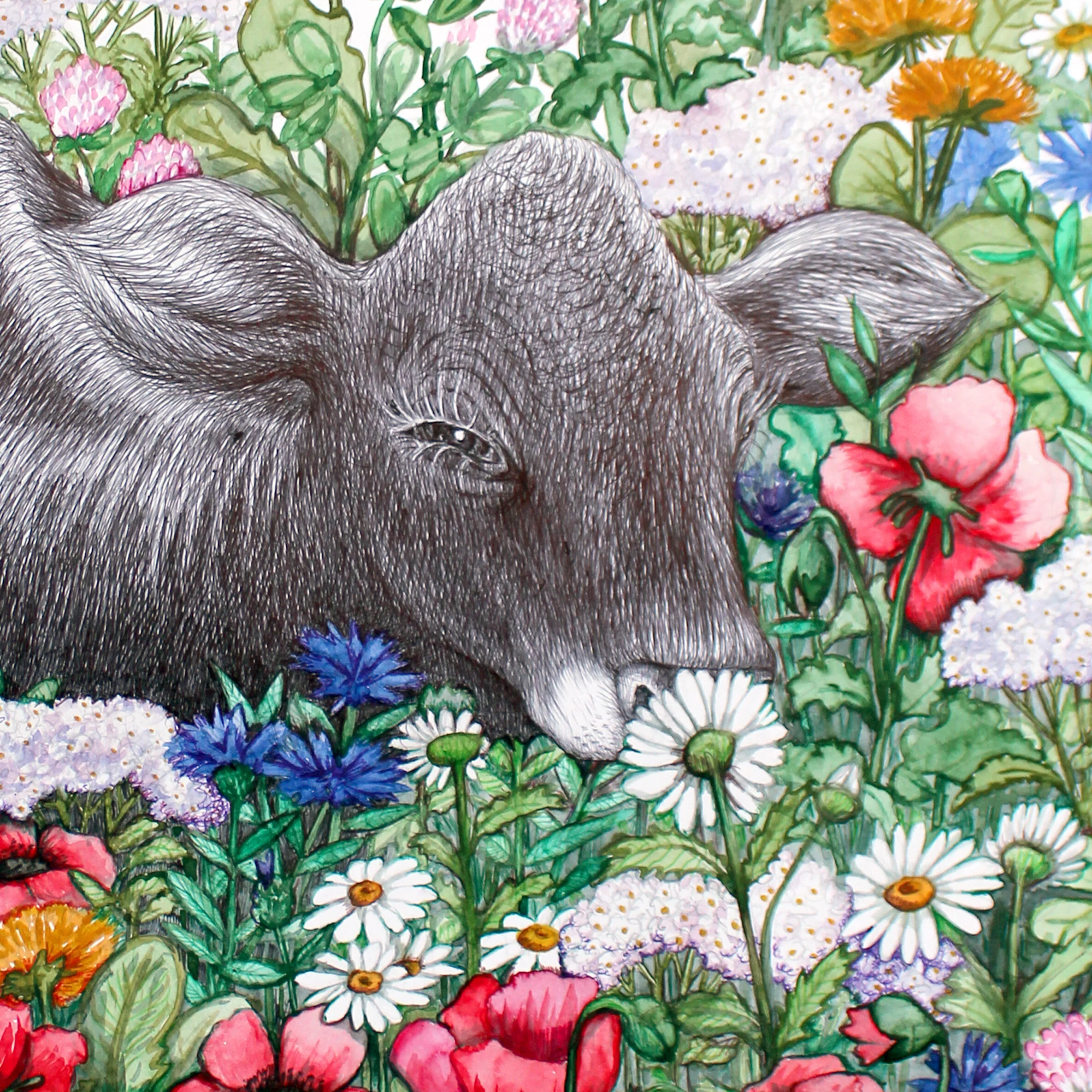 6D92D511-874C-4F0E-B17B-A78125BF35FD