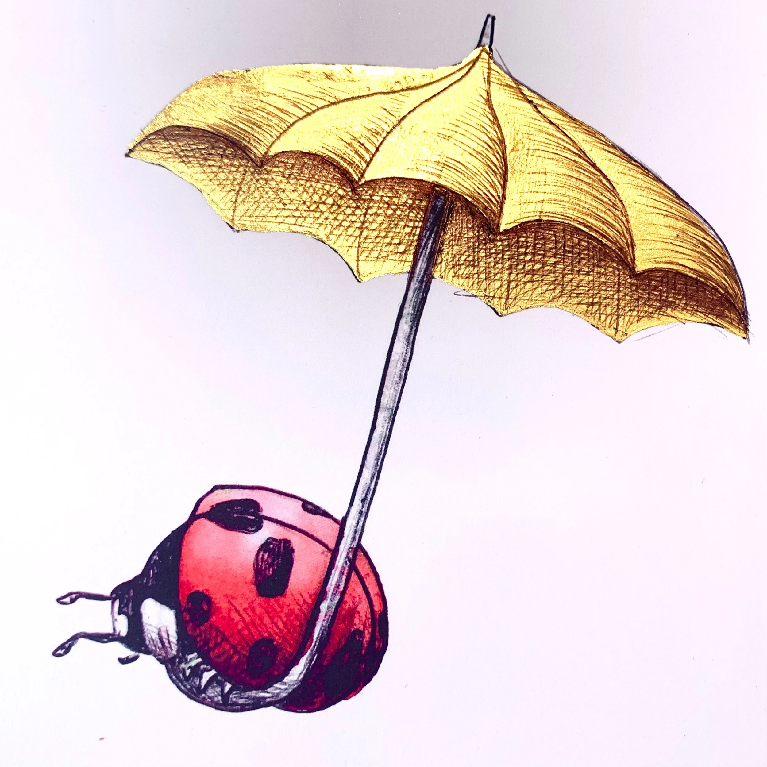 7E37D7E0-EF8D-45B7-9555-8A746B5B0FBF