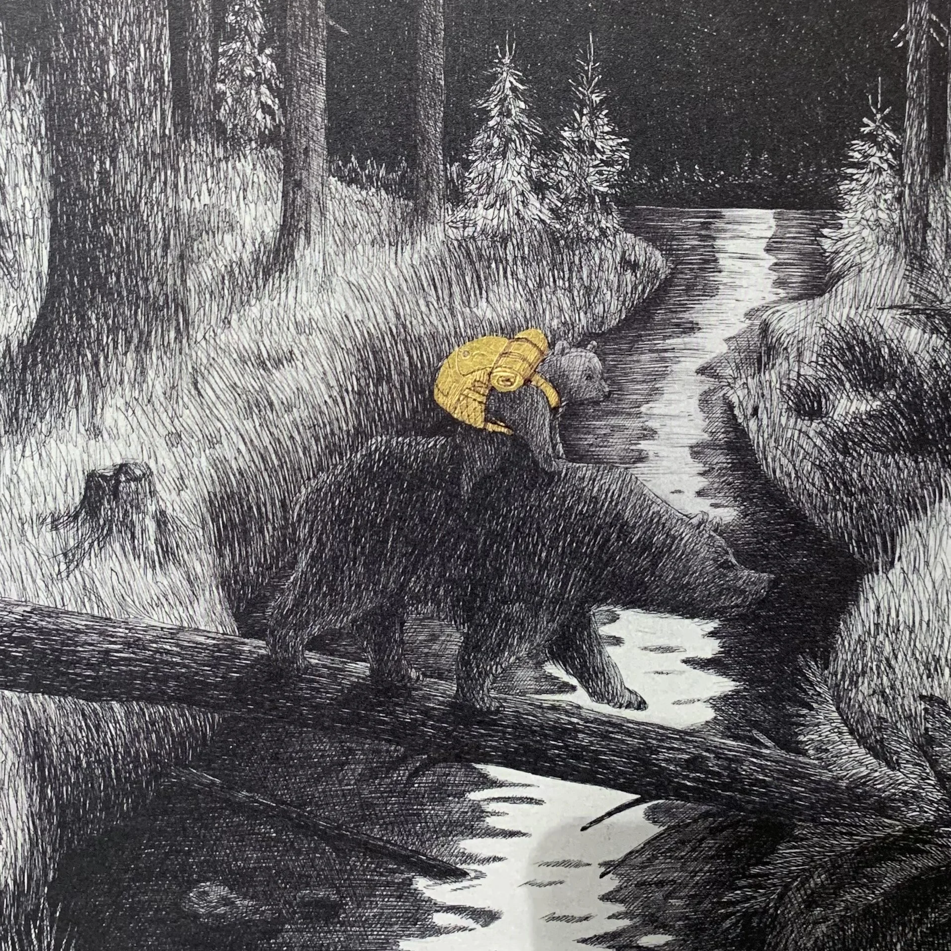 3880EEB5-152F-4F0D-83DC-FAB9F8227E61