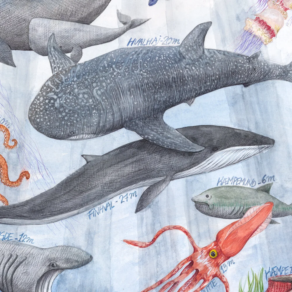 A90B2C68-E982-4F18-B513-9860BC6BF7A8