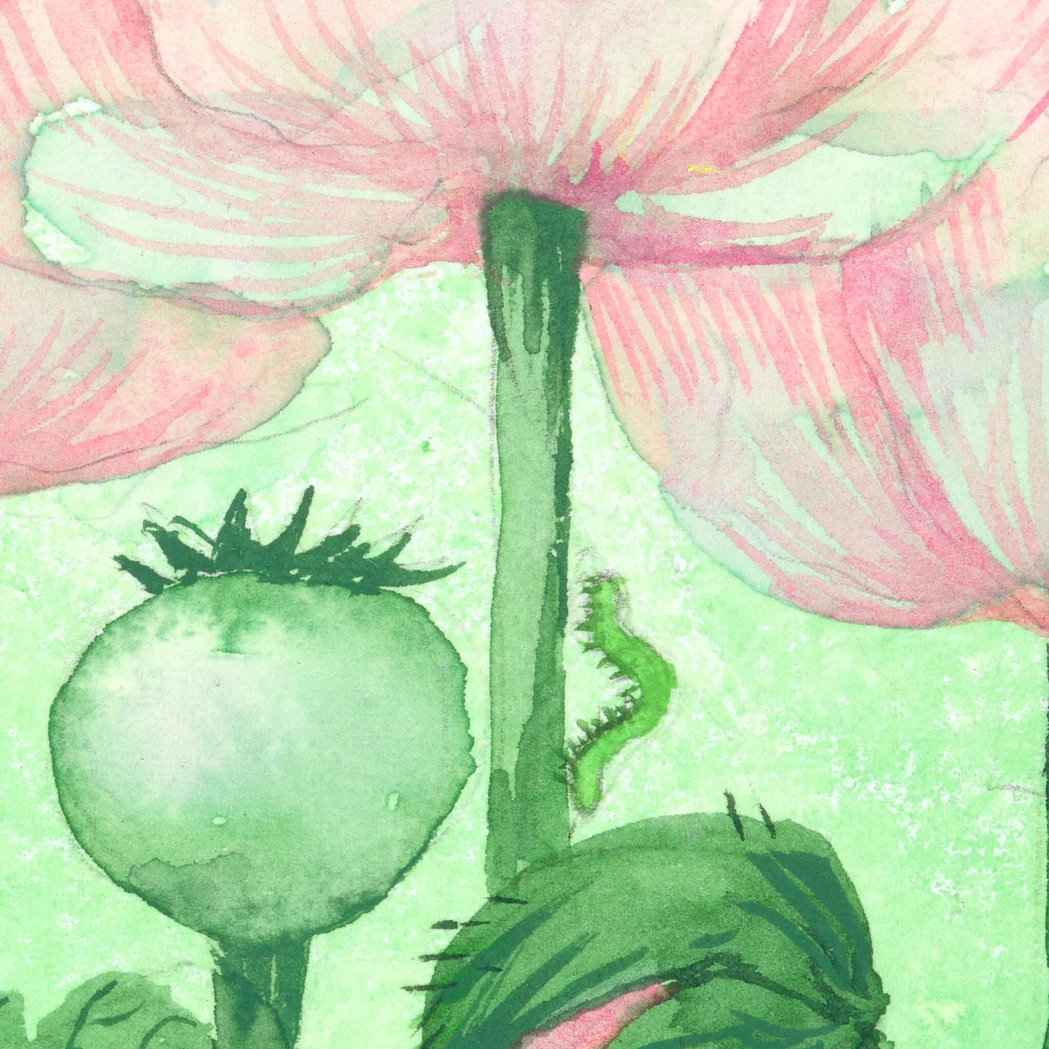 E5EE2BE4-2E74-4296-8638-8A5642BE7E10