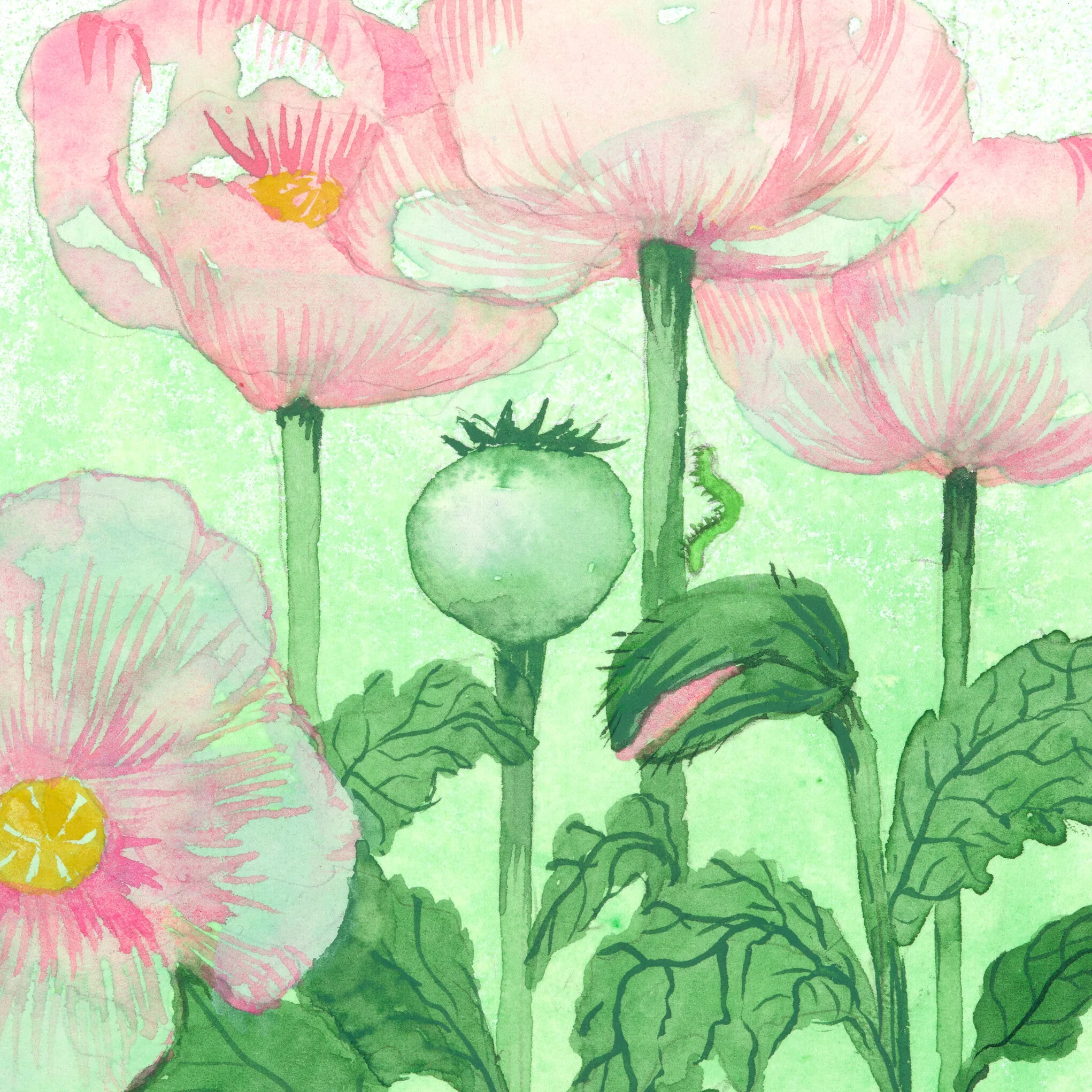 C59581B6-8E59-447E-8C1F-563170DA54C1