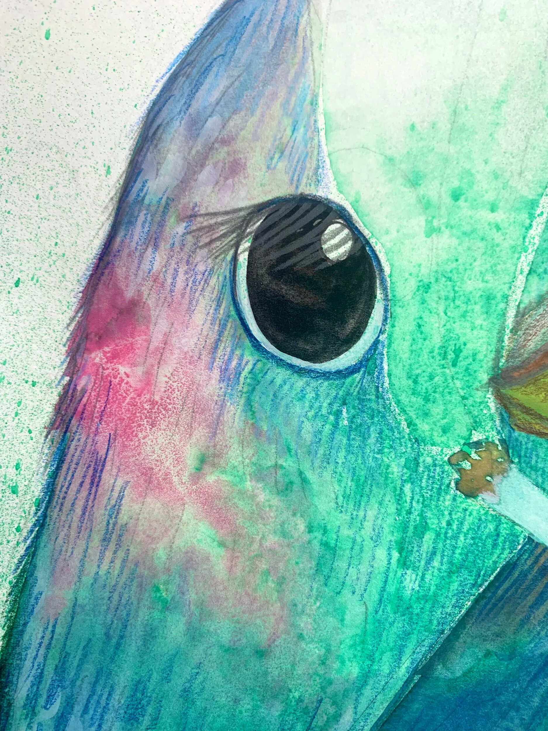 BD3AB048-520B-4AAB-AB15-B7503D72D6C7