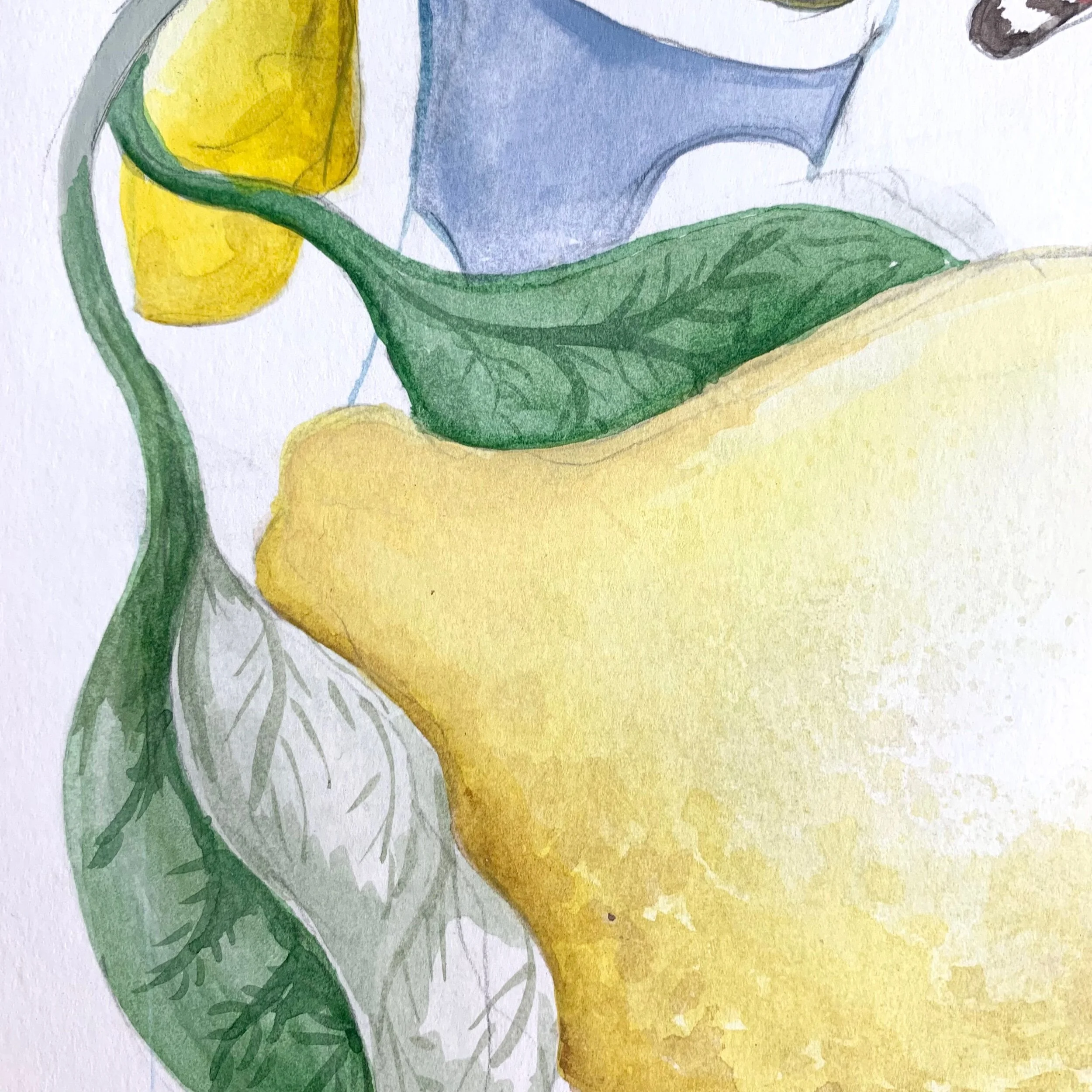 1073083A-8B34-47C6-80F4-2F666AF3D3E8