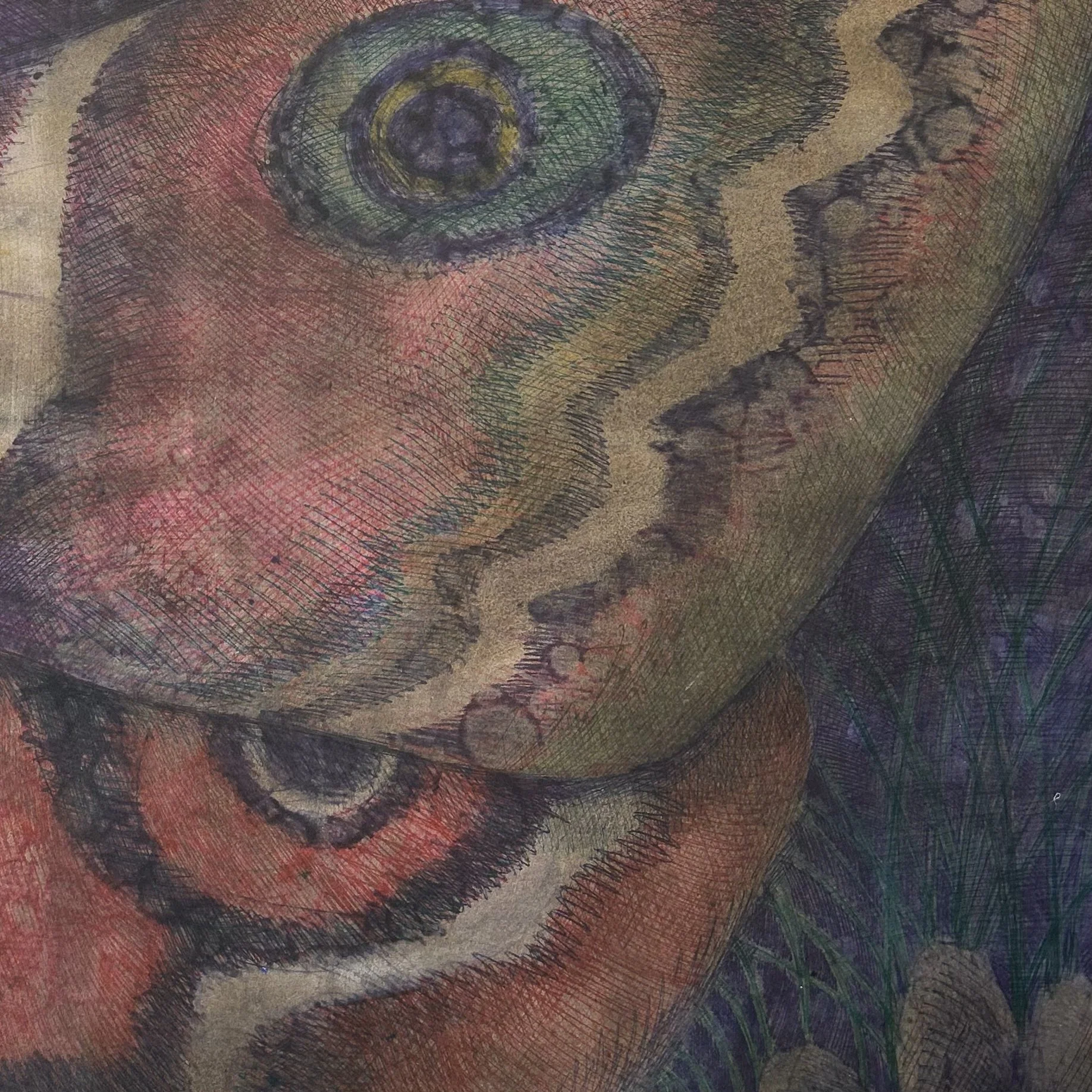 ACD70220-B291-463A-BA9E-E09ACB4D3541.jpeg