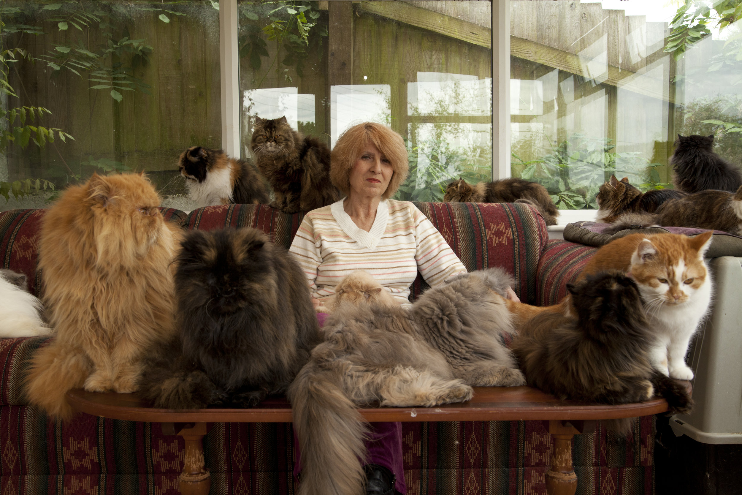 The Woman with 40 Cats, C5