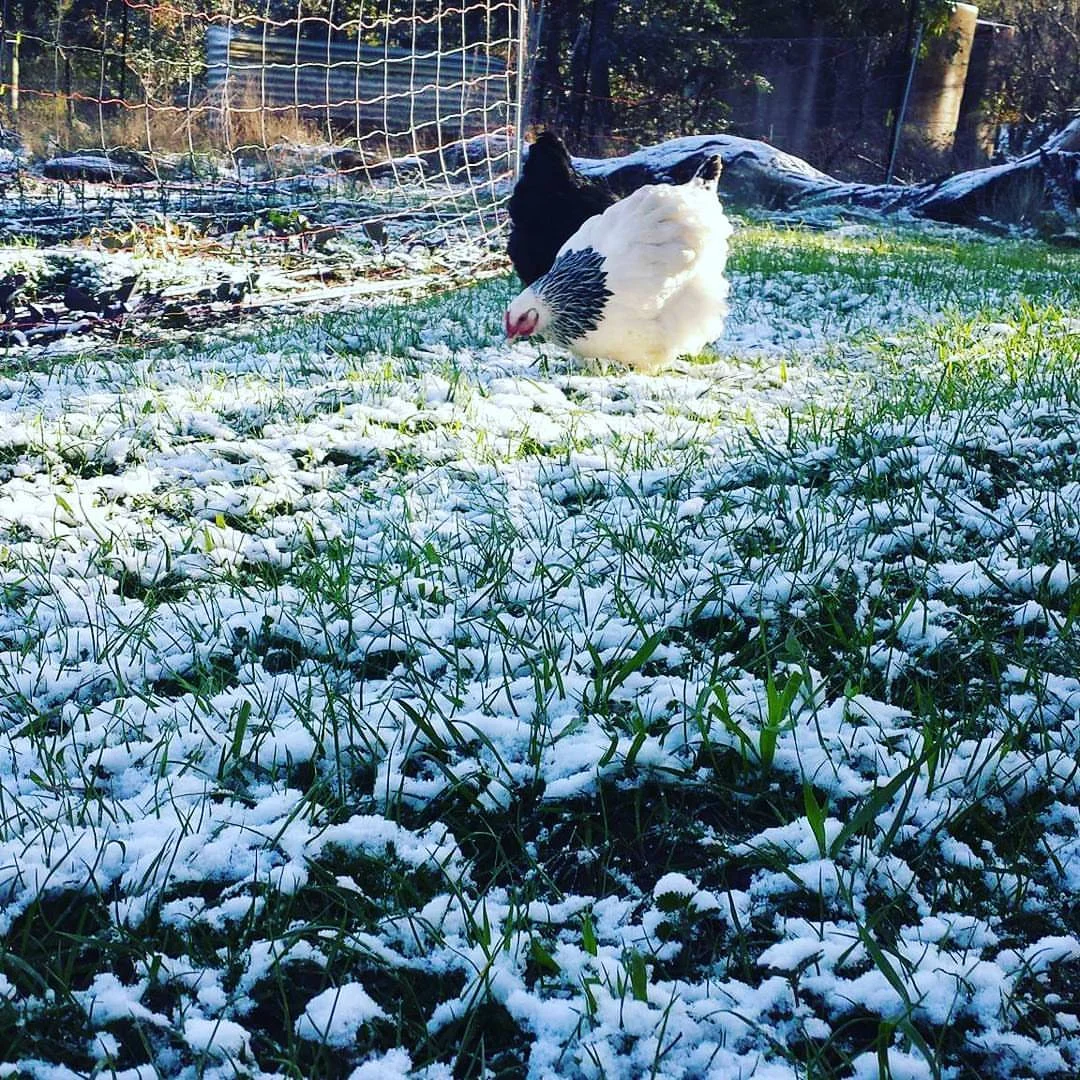 Last month of Winter...