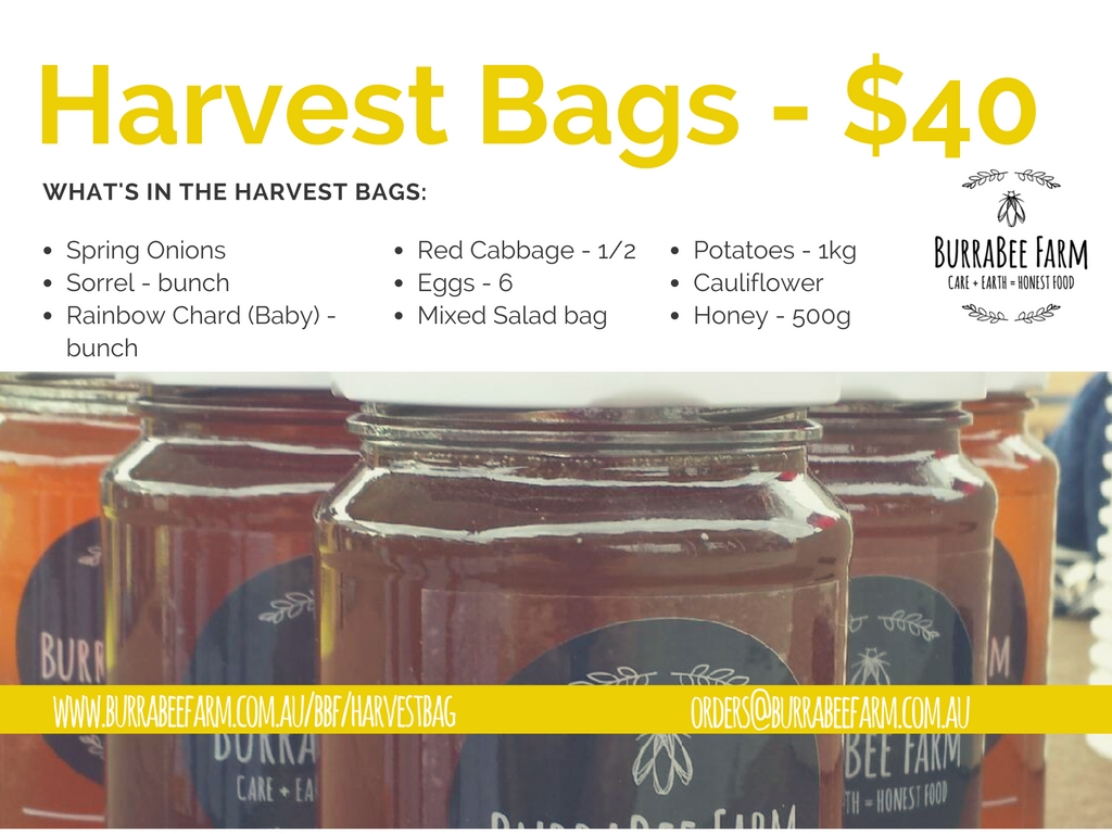 Order before 11am Thurs, collect at the Farmers & Foodies Market at the Old Bus Depot between 3pm & 7pm