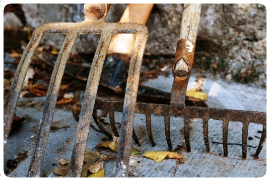 Helen's gardening tip - forking to break up the soil