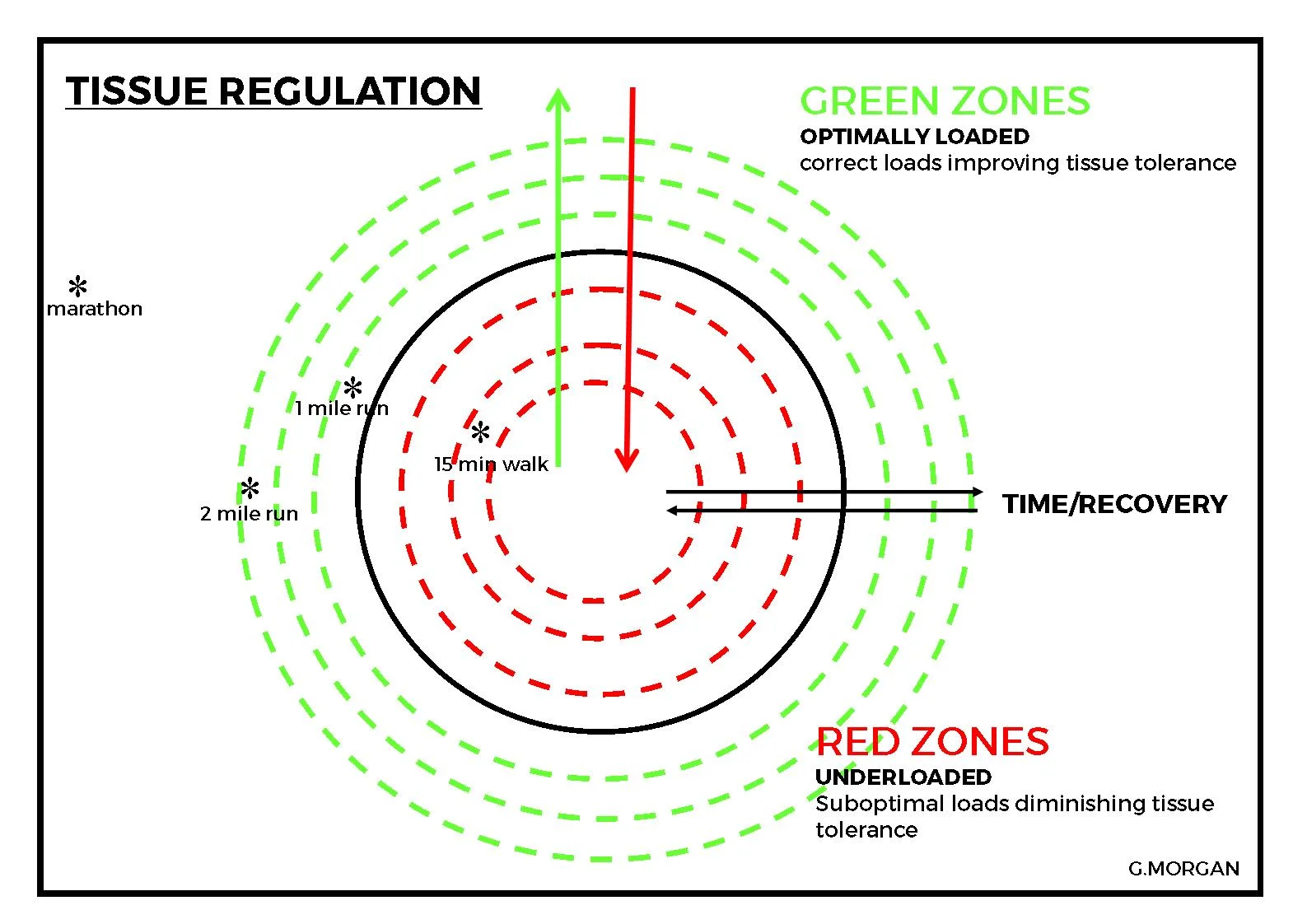 Tissue Regulation injury — Blog — Specialist Physiotherapy Clinic for Hull & East Yorkshire