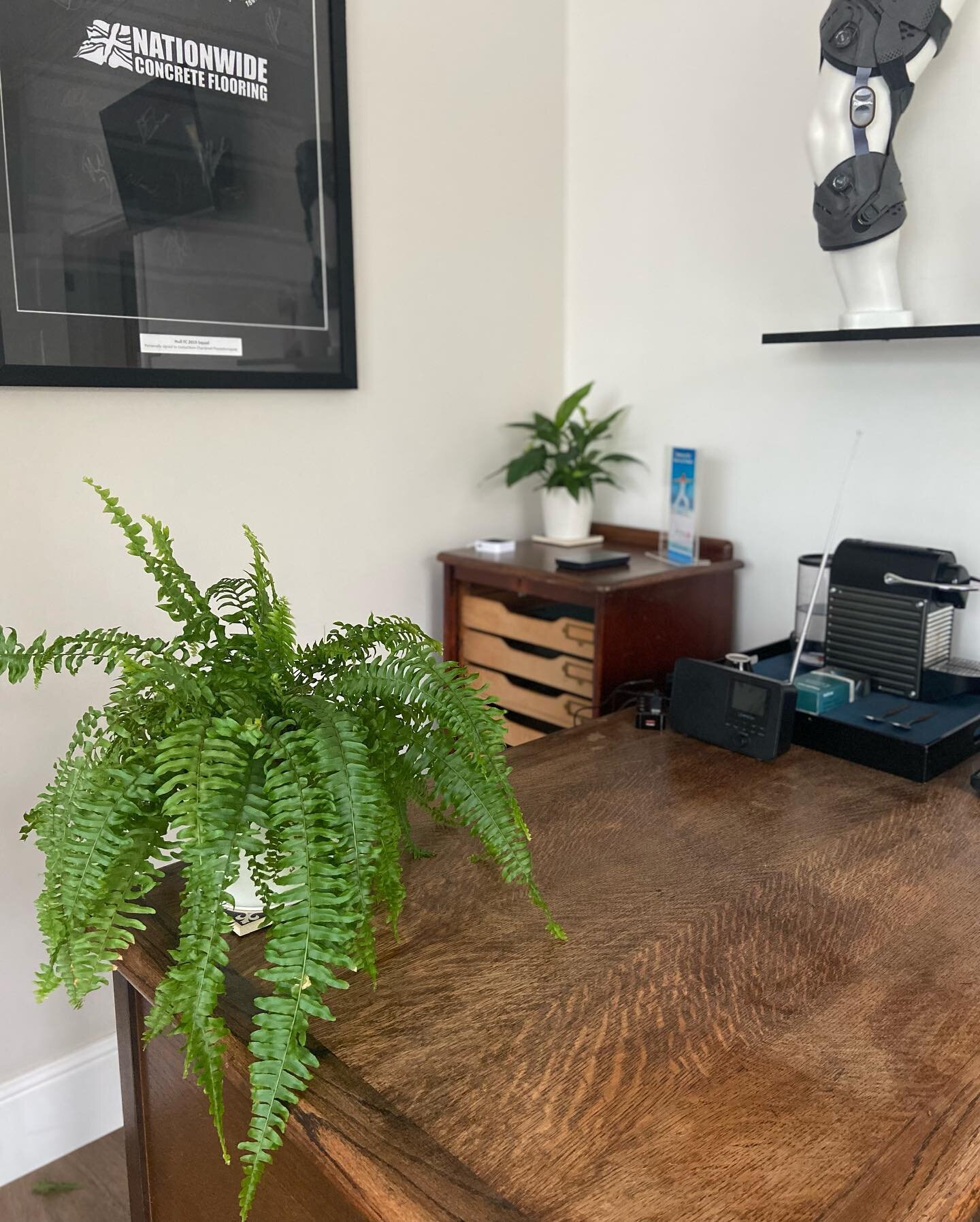 We&rsquo;ve recently added some extra greenery to our clinic space! 🪴Indoor plants not only look good but can also have benefits for wellbeing. Various studies suggest that they may help boost mood, reduce stress levels, increase productivity as wel