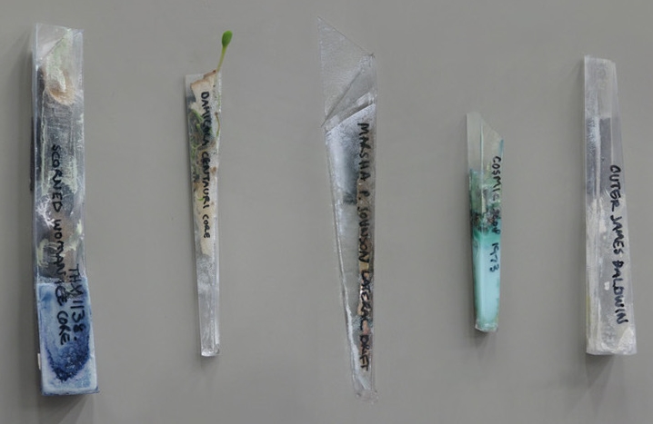 M Williams 'Core Samples I' crop copy.jpeg