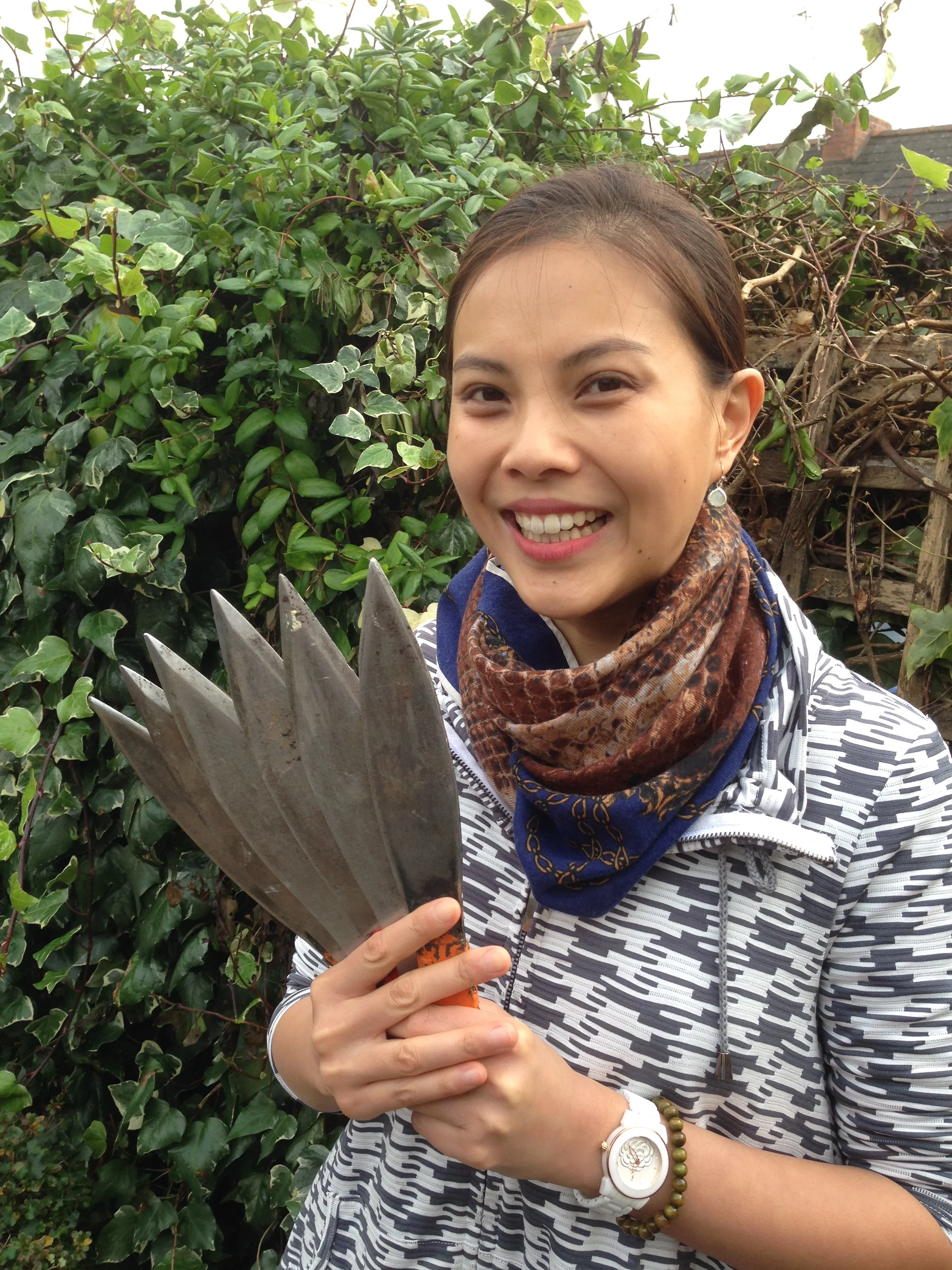 Beauty and the Beast 