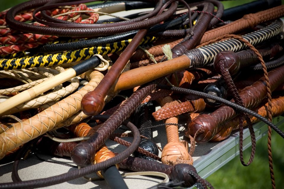 Assorted leather and ny;on whips.jpg
