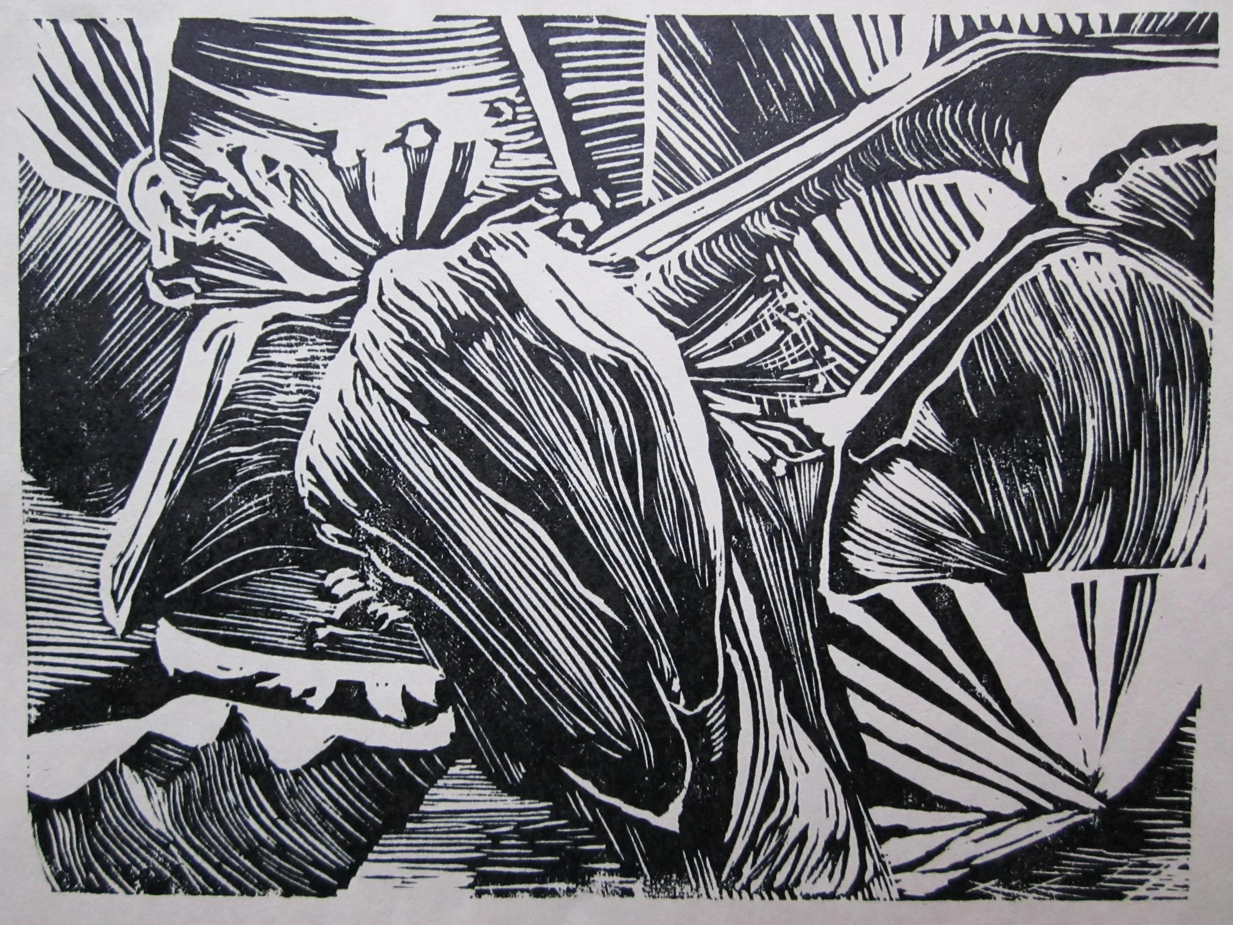 C_PikeBlair_Subtropical_9x7_linocut.JPG