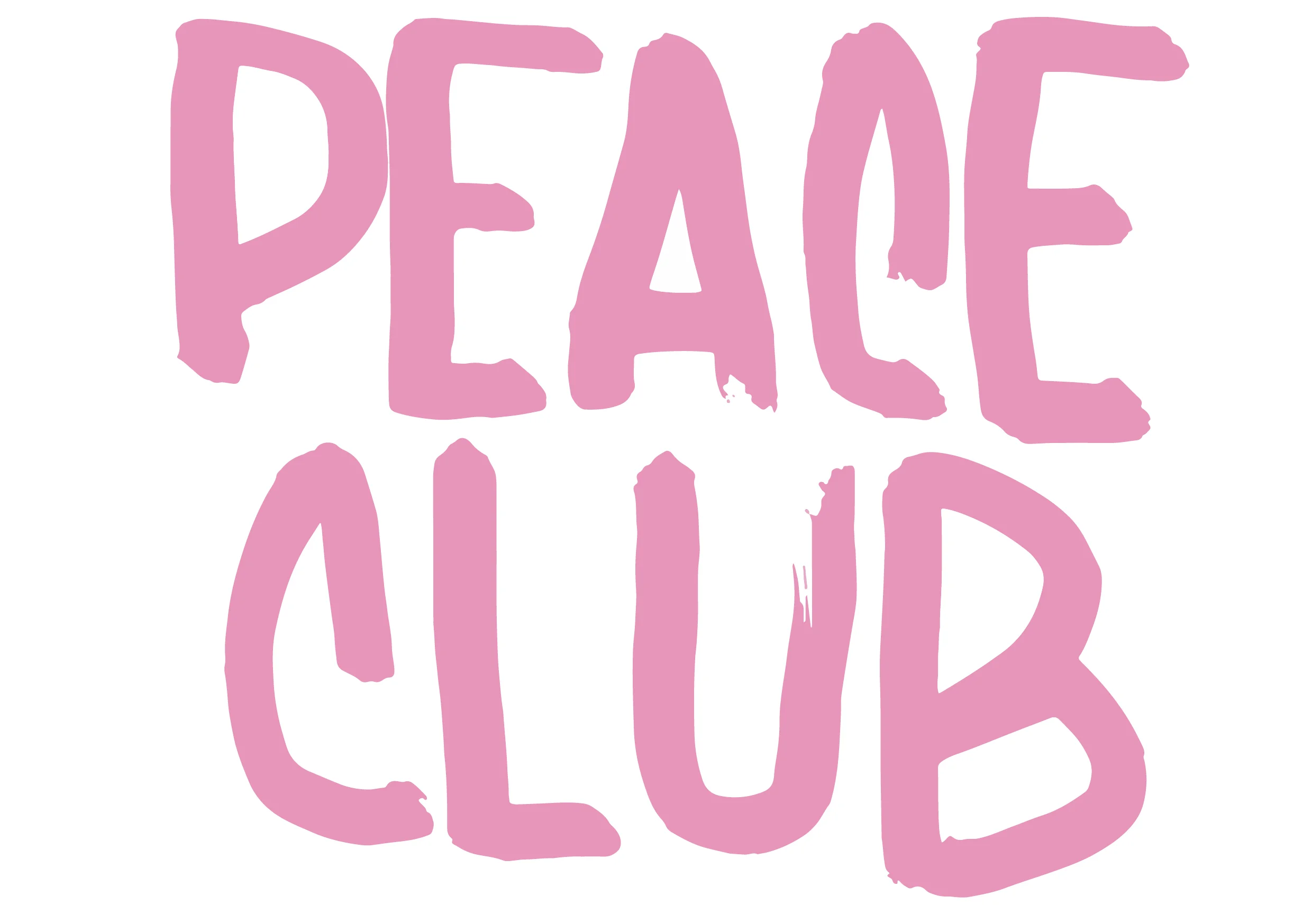 FLYER35.jpg