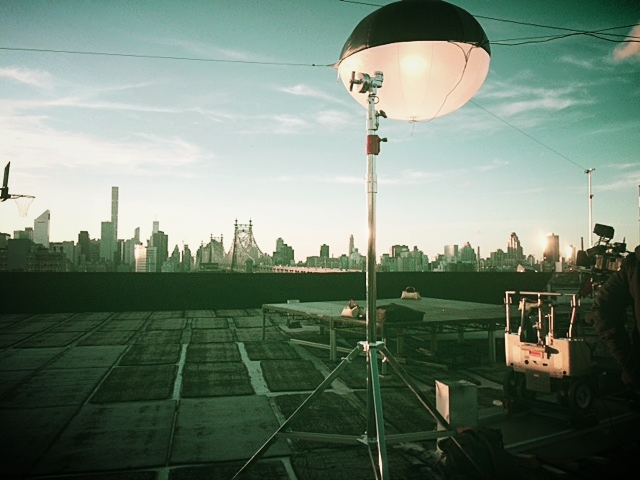 Manhattan skyline from Silvercup Roof