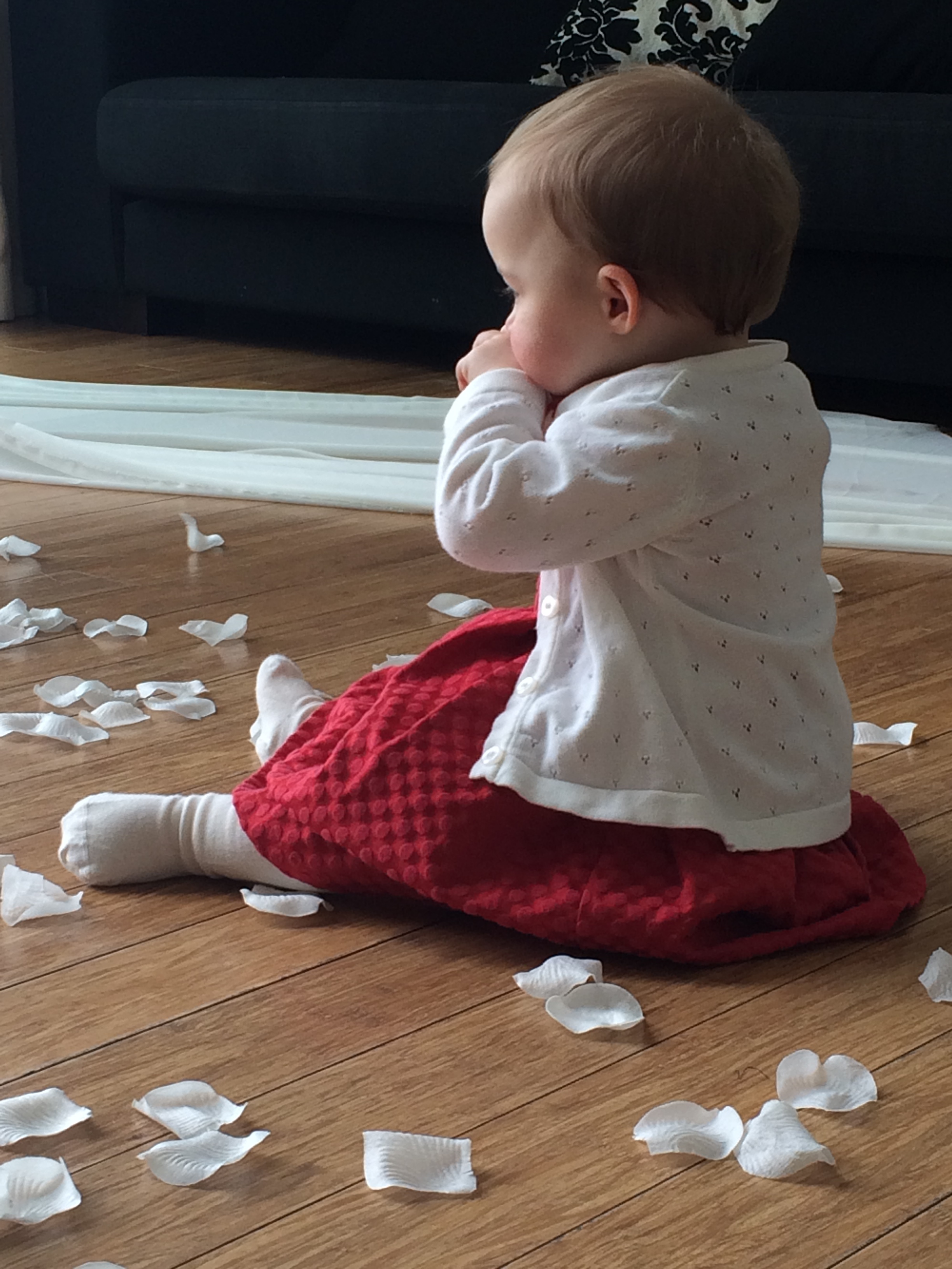 Tasty rose petals!