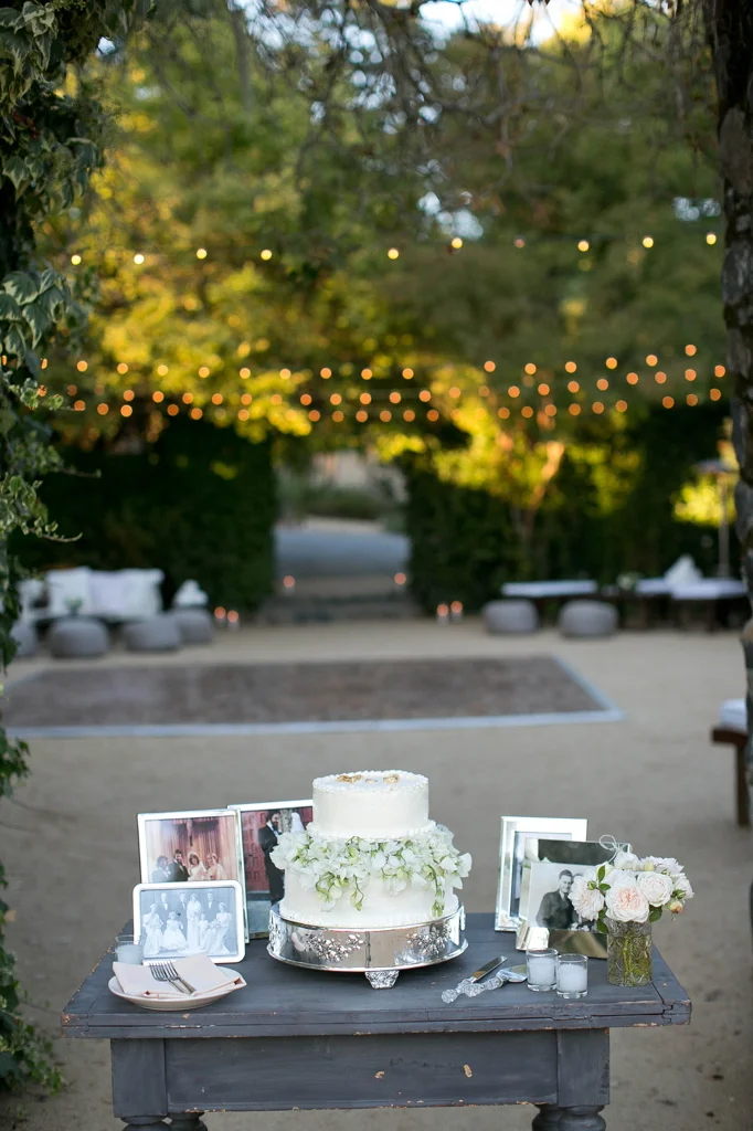 Family wedding photos around a stunning cake made with much love by a mother ...