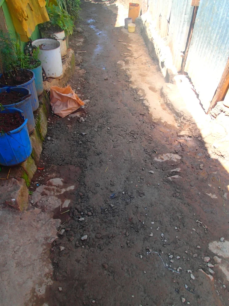 Toilet Project 1 - 8.jpg