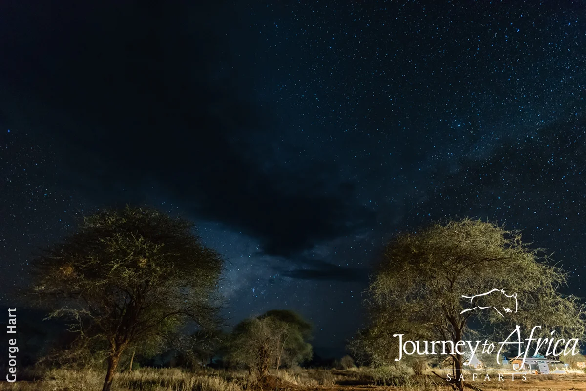 Stargazing on Safari