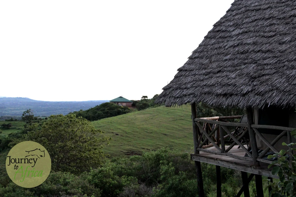 views_1.jpg