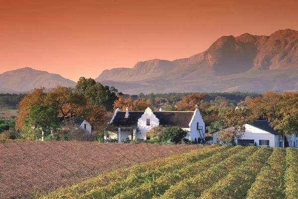 SOUTH AFRICA Start in Cape Town, drink your way through the wine country and finish on Safari. Perfect!
